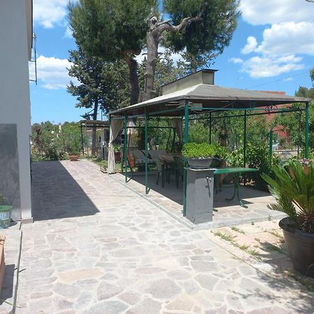 B&B 1898 - Villa Colonna Altamura Exteriér fotografie